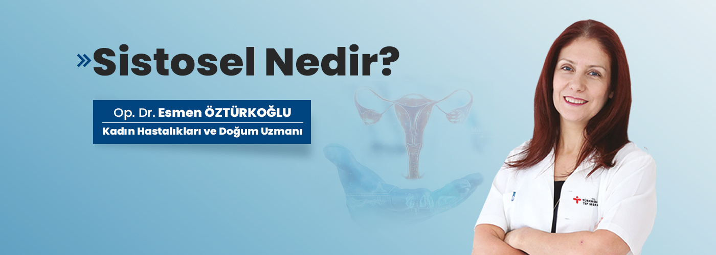 Sistosel Nedir